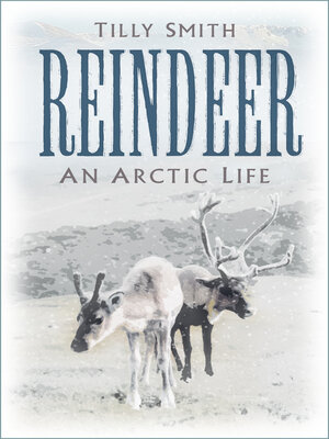 cover image of Reindeer
